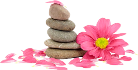 https://swasthyaholistic.in/wp-content/uploads/2021/03/happe-client-bg-e1721042956674.png